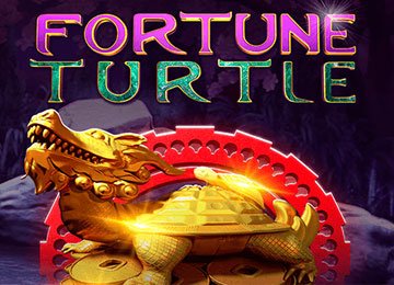 Fortune Turtle